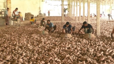 আলু মজুত থাকা সত্ত্বেও নেই ক্রেতা। আলু মজুত থাকা সত্ত্বেও নেই ক্রেতা।